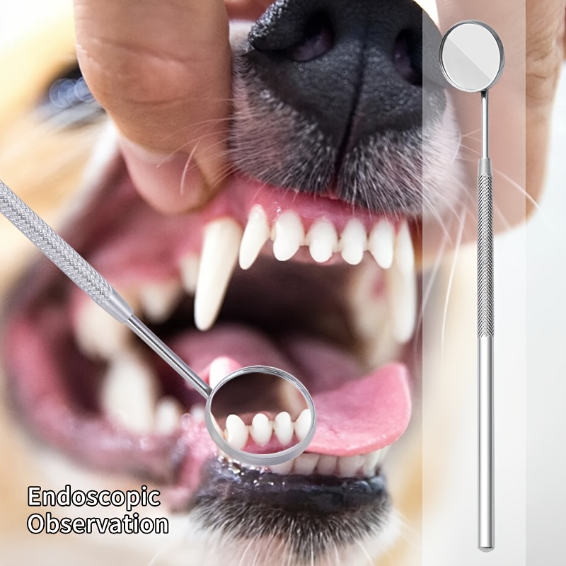 6 stuks Soundwave tandsteenver - Teeth Whitening Mouthwash recensie en prijs