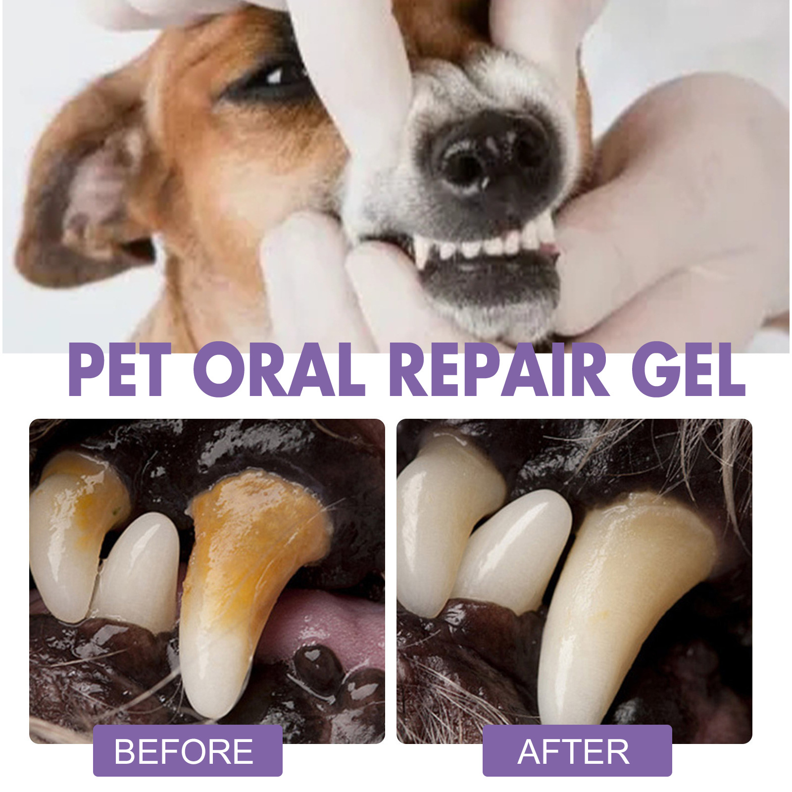 Huisdier Orale Reparatie Gel P - Teeth Whitening Near Me recensie en prijs