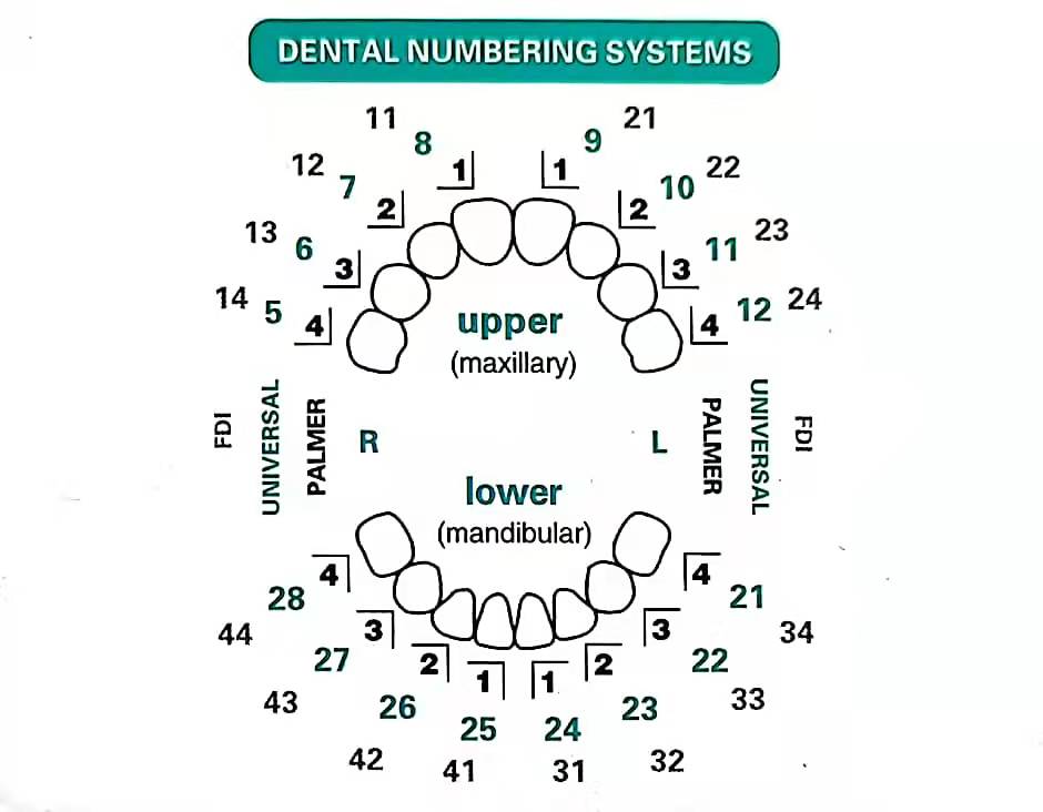 32 stks/set Tandheelkundige Fi - Teeth Whitening Moulds recensie en prijs