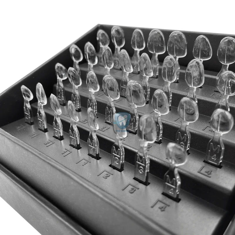 32 stks/set Tandheelkundige Fi - Teeth Whitening Moulds recensie en prijs